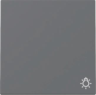 GIRA 328528 Wippe Symbol Licht System 55 