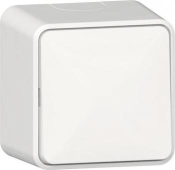 GIRA 310613 Wippschalter Aus-Wechsel AP 
