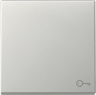 GIRA 3287600 Wippe Symbol Tür System 55 