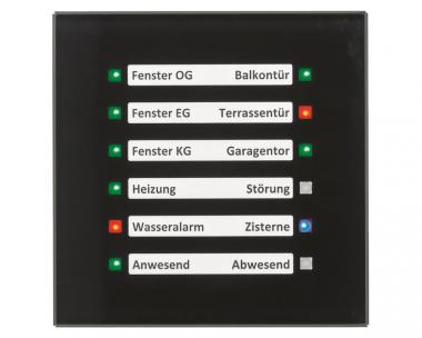 MDT SCN-GLED1S.01S Glas LED Anzeige 