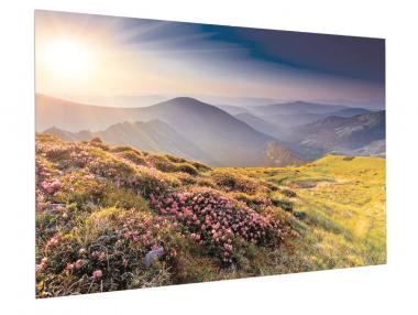 KIND FullVision 124x220cm     6005000801 
