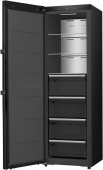 Hisense FT5K310GSFC1 sw Gefrierschrank 