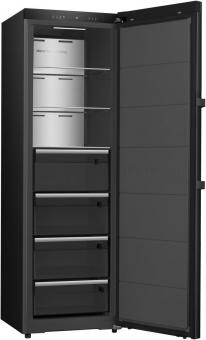 Hisense FT5K310GSFC1 sw Gefrierschrank 