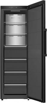 Hisense FT5K310GSFC1 sw Gefrierschrank 