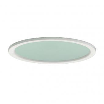 RIDI Glasscheibe mattiert mit  DGD 235 W 