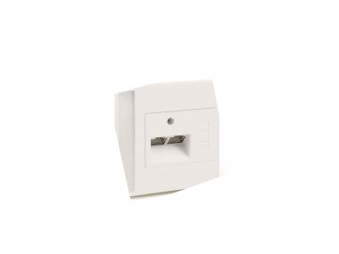 OBO DB 2 rws Datenblende SIGNA 2-fach 