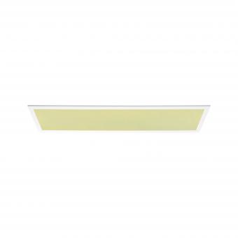 Paulmann WallCeiling Amaris ZB     79810 