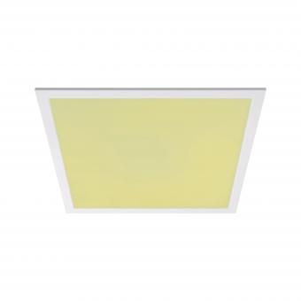 Paulmann WallCeiling Amaris ZB     79809 