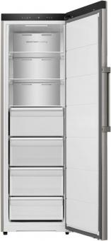 Hisense FU310K3AIC gr Gefrierschrank 