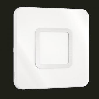 Steinel  Ersatzhaube RS LED M1 Edelstahl 