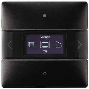 Theben Raumcontr.    LUXORliving iON8 BK 