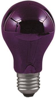 PAULM Glühlampe 75W E27           590.70 