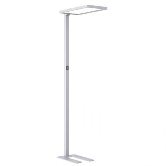 DOTLUX LED Stehleuchte       5031-040240 