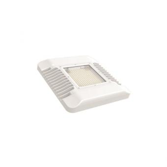 LeuchTek CG-150W-NW LED-Ceiling   131678 