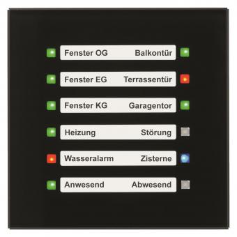 MDT SCN-GLED1S.01S Glas LED Anzeige 
