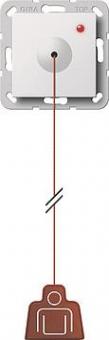 GIRA 291203 Zugtaster System 55 