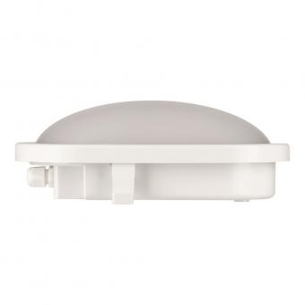 BAIL LED Bulkhead Basic 12W 4000K 142176 