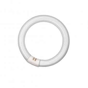 BAIL Osram Lumilux Circline  FC040865/02 