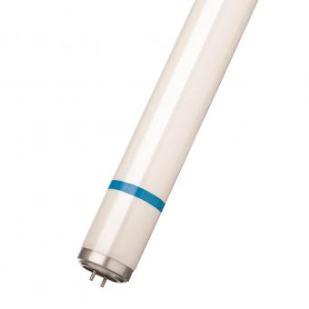 BAIL PHI Actinic BL          50200138640 