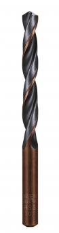 Alpen SPRINT MASTER -HSS         3020859 