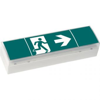 CEAG Notleuchte SV Euro 4-3D 40071354775 