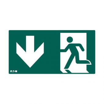 CEAG Einlegepiktogramm       155-000-213 