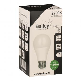 BAIL Bailey ecobasic LED AGL 80100038992 