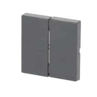 BJ FoH-Bedienelement 2fach   6736 FoH-81 
