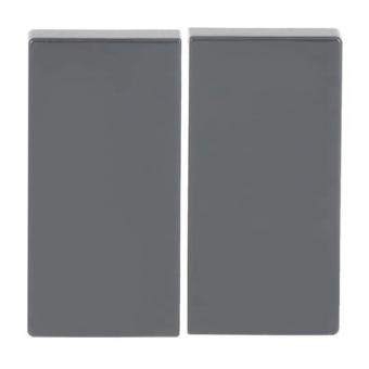 BJ FoH-Bedienelement 2fach   6736 FoH-81 