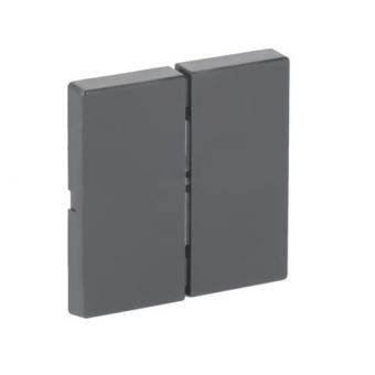 BJ FoH-Bedienelement 2fach   6736 FoH-81 