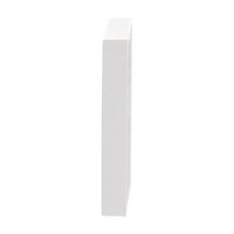 BJ future linear Rahmen        1721-184K 