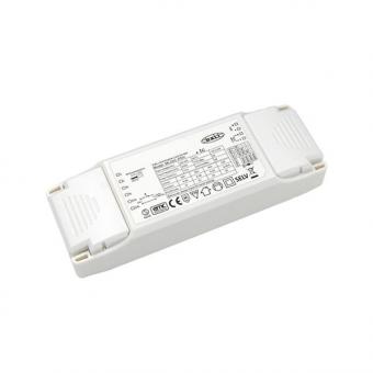 mlight LED-Konverter ML20C-PDV   81-9019 