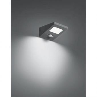 Brumberg                        65291103 
