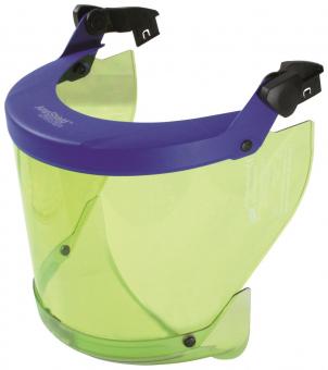 DEHN                        APS T CL2 SC 