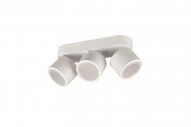 TRIO Ein-/Aufbauspot TAURUS ws 652910331 