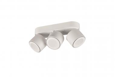 TRIO Ein-/Aufbauspot TAURUS ws 652910331 