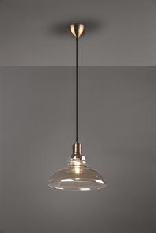 Trio Pendelleuchte ALDO,1x E27 R30731004 