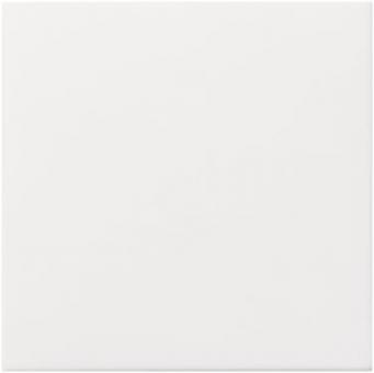 GIRA 022527 Abdeckung Ackermann 72642C/ 