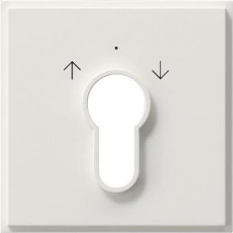 GIRA 066466 Abdeckung Schlüsselschalter 