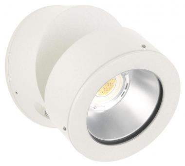 Albert Wand-und Deckenstrahler    682389 