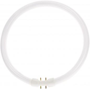 BAIL TL5 Circular 2GX13 40W       146256 