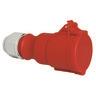 BALS CEE-Kupplung 32A 5-pol 6h   304-TLS 