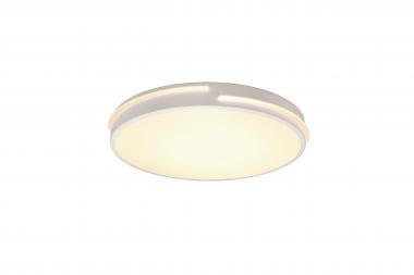 Trio LED-Deckenleuchte TACOMA  R62241131 