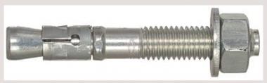 Fischer Bolzenanker FBN II 10/5   508010 