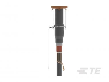 Rayc Stecker gerade Typ A    RSSS-525B-E 