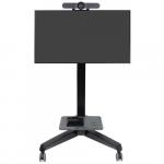 Ergotron Neo-Flex LD Mobile MediaCenter 