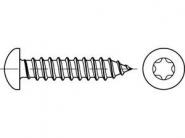 Reyher Blechschrauben 5,5x13mm-C-T 