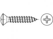 Reyher Blechschrauben 3,5x13mm-C-H 