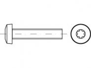Reyher Linsenschrauben M5x20mm-T25 
