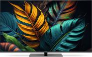 TechniSat TechniVision UHD55A sw LED-TV 